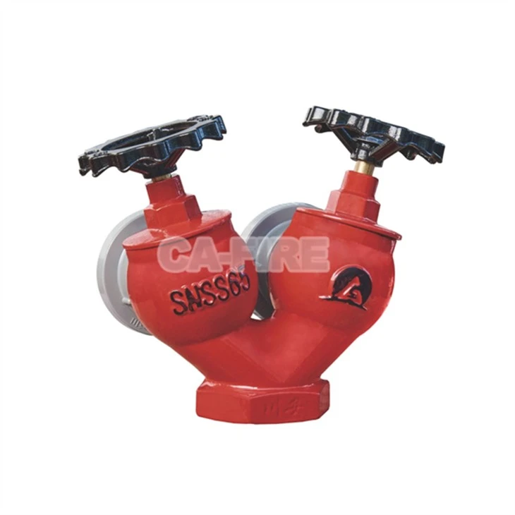SNSS65 Double Outlet Indoor Fire Hydrant factory