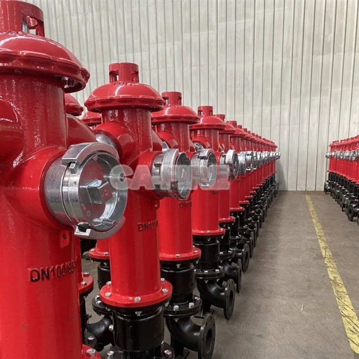 Fire Hydrant Dry best