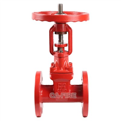 Butterfly Valve vs. Gate Valve: Which Is More Suitable for Fire Protection Systems?